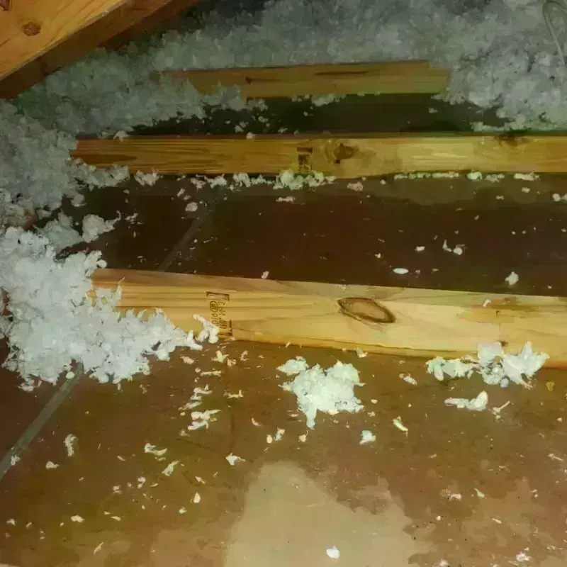 Attic Water Damage in Luther, OK